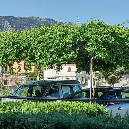 アパート Buncuga *